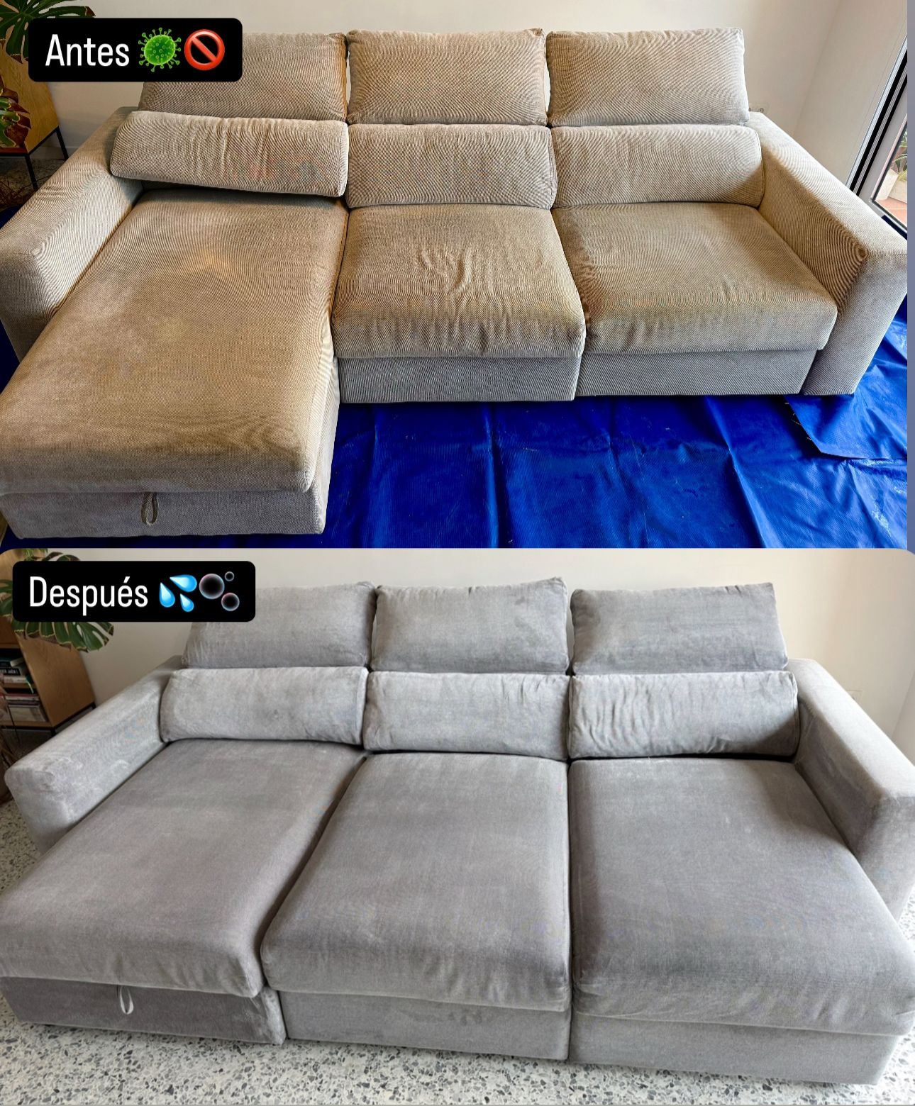 WhatsApp Image 2025-02-14 at 06.19.11 (1).jpeg